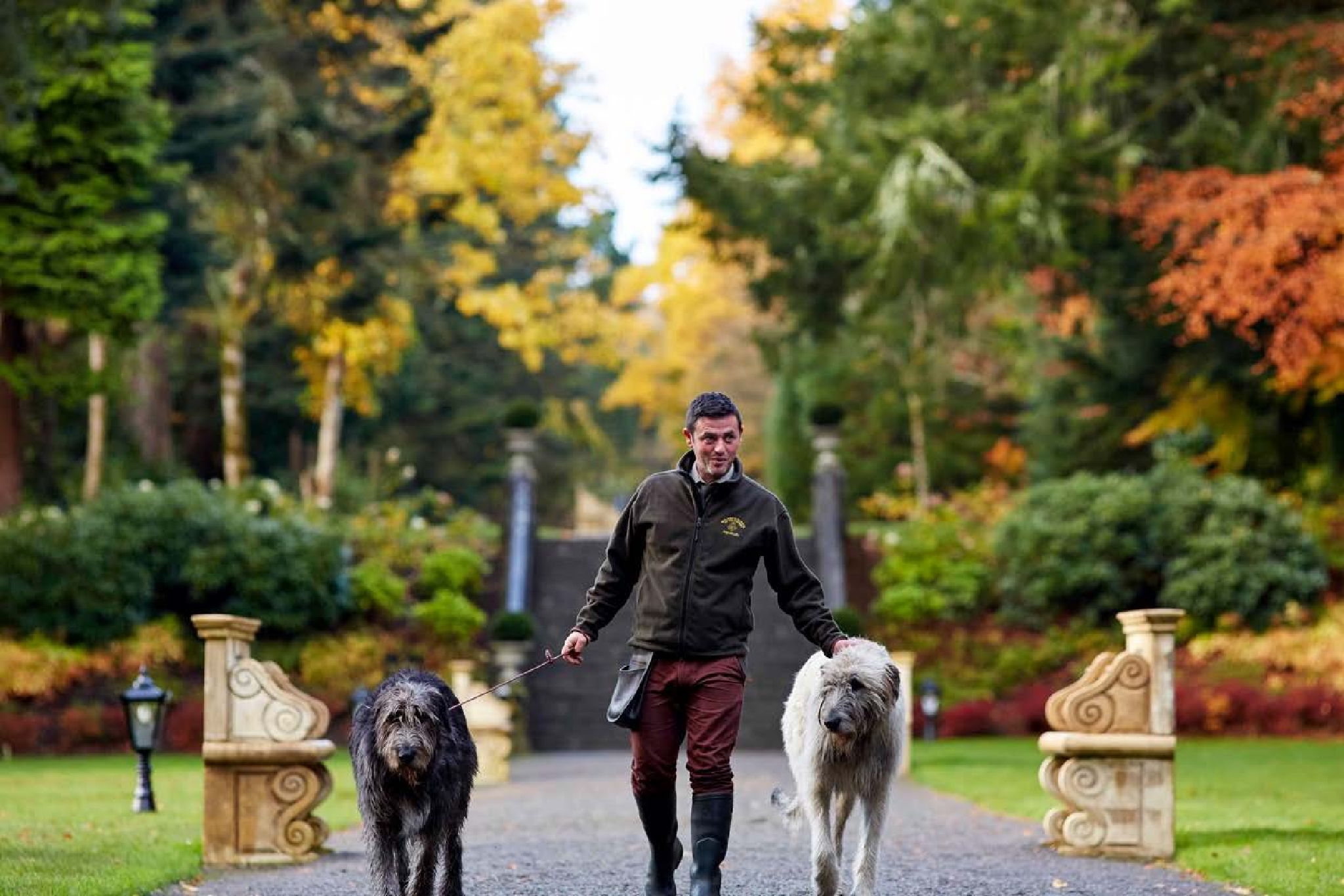 Dog Walking at Ashford Castle